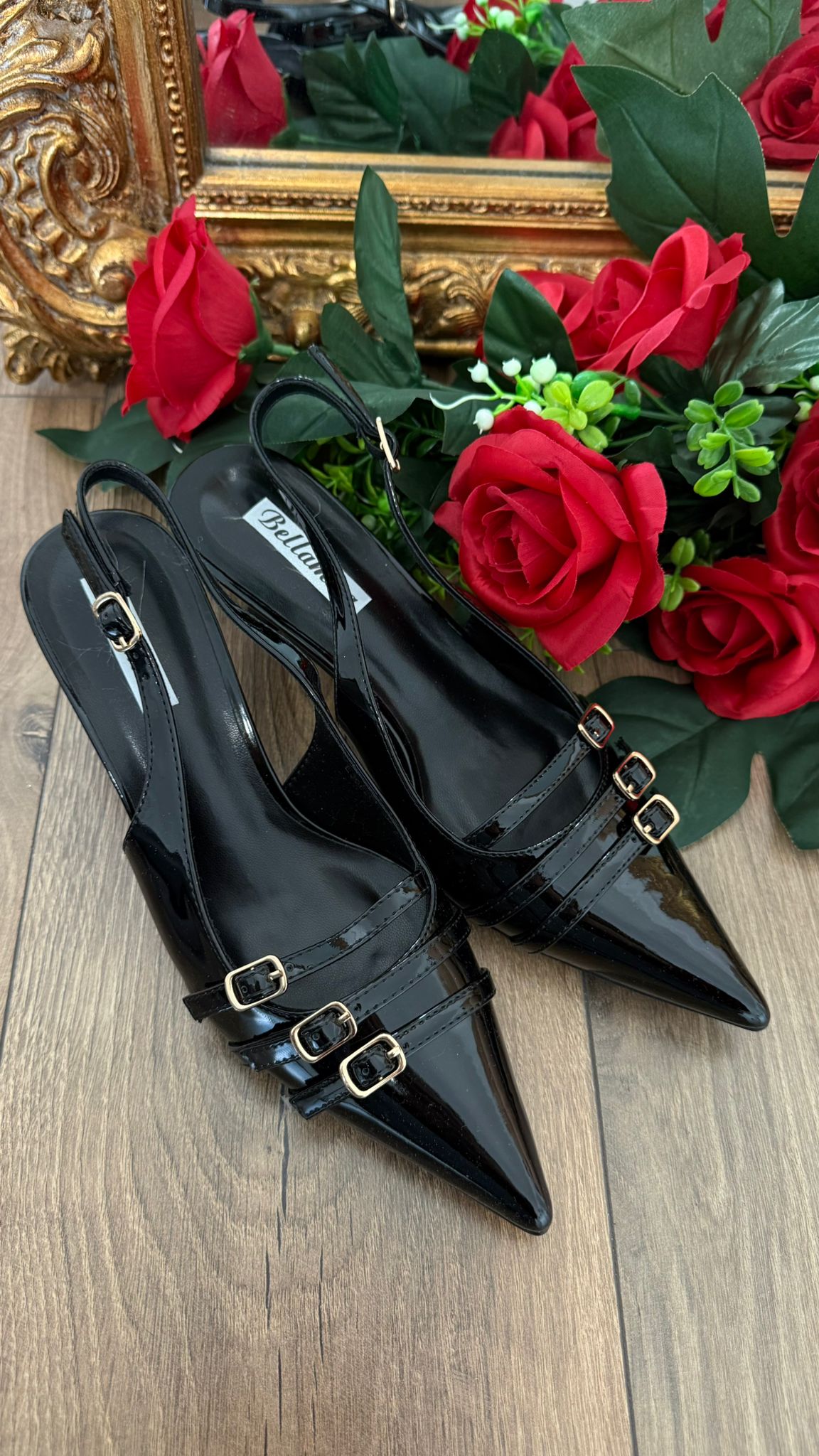 TACCO ISABEL E30020 NEW