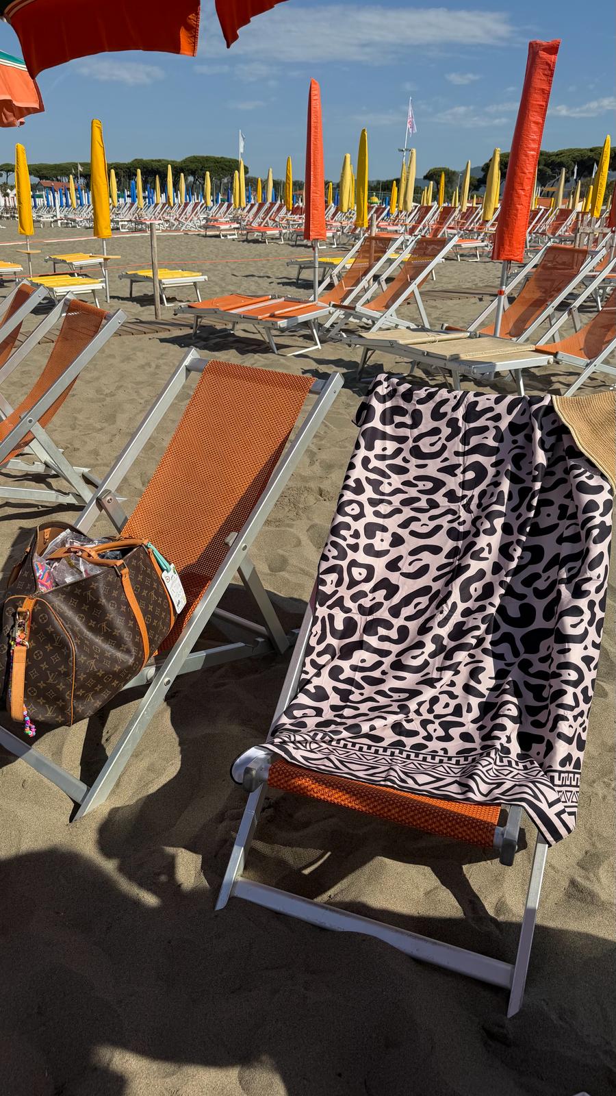 TELO MARE ZEBRATO 3004 NEW
